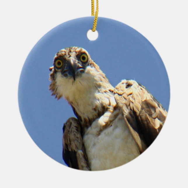 Osprey Watching Ceramic Ornament (Front)