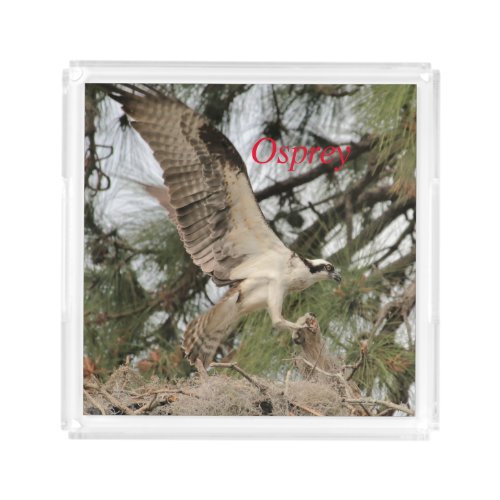 Osprey Wildlife Trivet Acrylic Tray