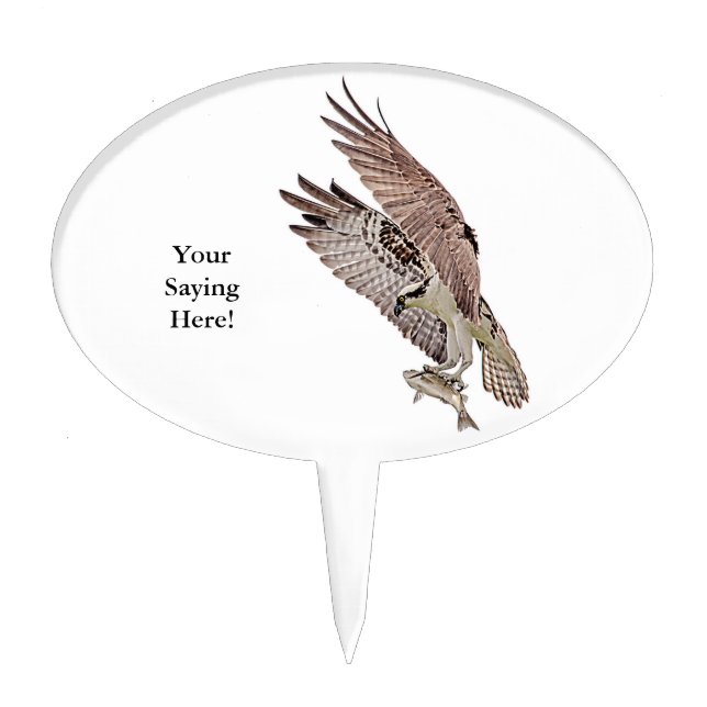 Osprey with a fish cake topper (Front)