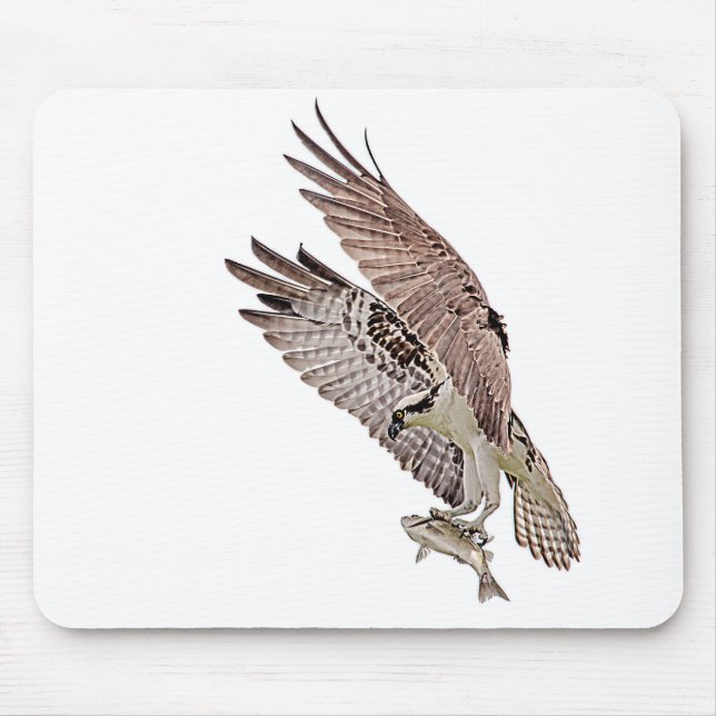 Osprey with a fish mouse pad (Front)