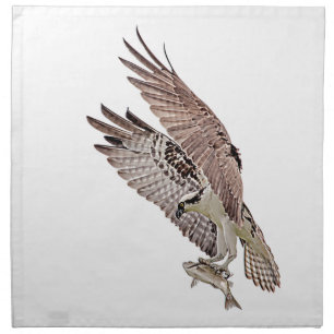 Osprey with a fish napkin
