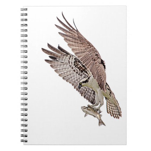 Osprey with a fish notebook
