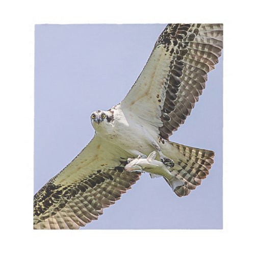 Osprey with a fish notepad