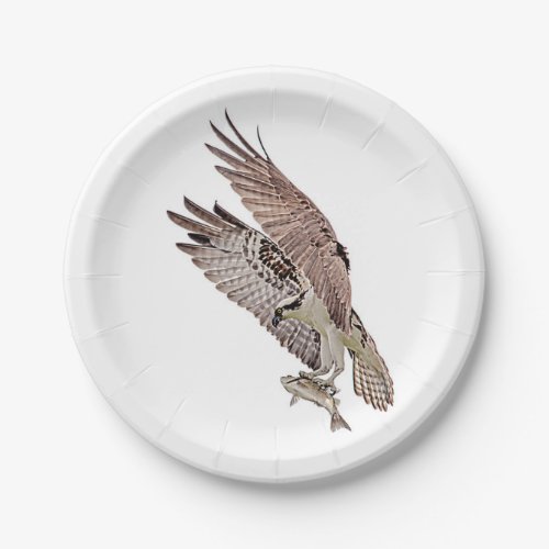 Osprey with a fish paper plates