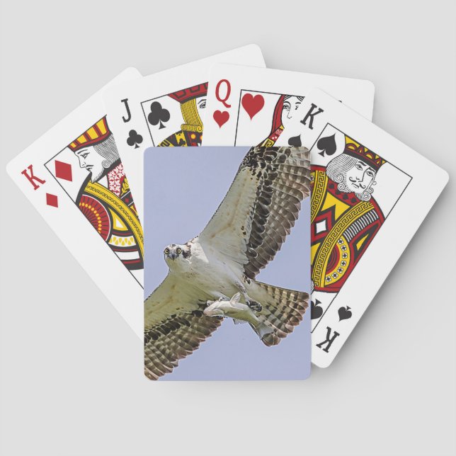Osprey with a fish poker cards (Back)