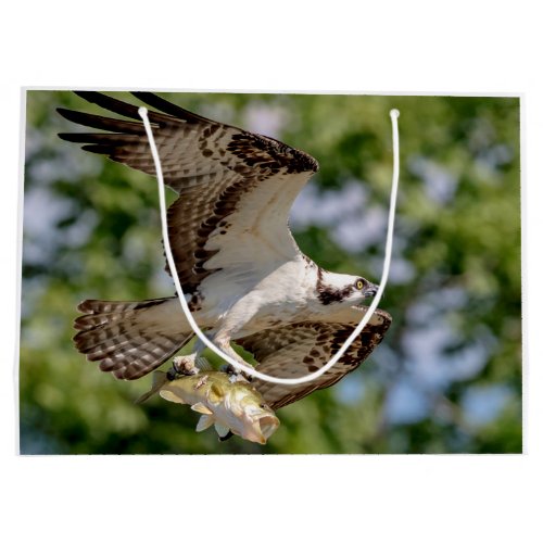 Osprey with a large mouth bass large gift bag