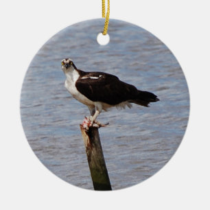 Osprey with Fish ornament