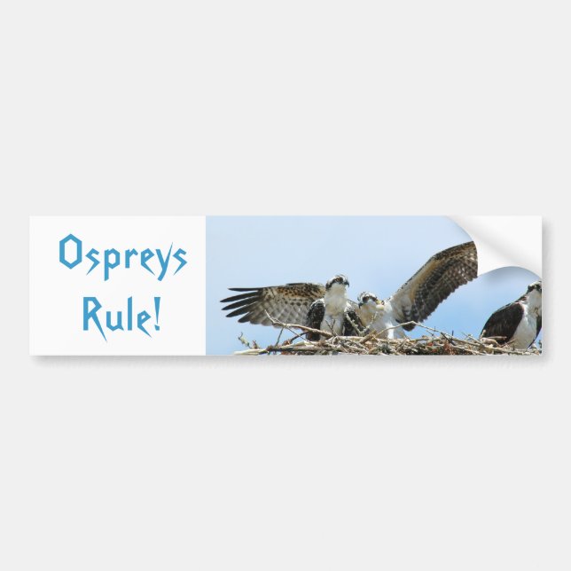 Ospreys Rule Bumper Sticker (Front)
