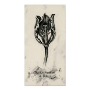 Ossified Petal Botanical Spirit Drawing Poster