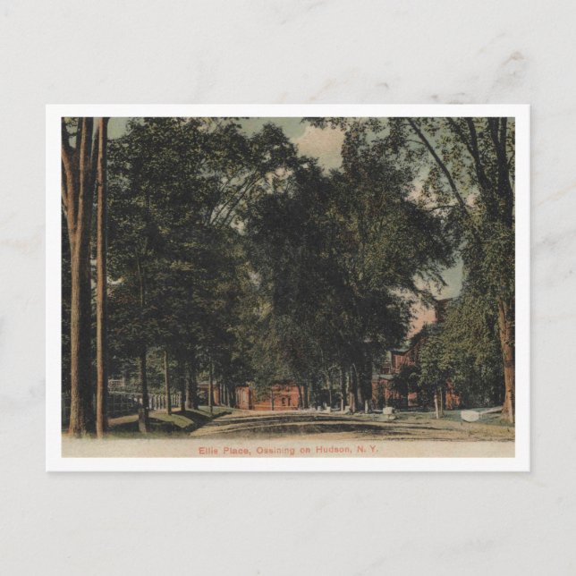 Ossining on the Hudson, Ellis Place View, 1907 Postcard (Front)