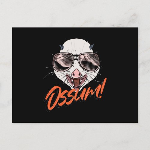 Ossum Possum Opossum Gopher Postcard