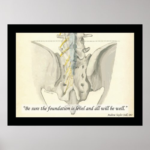 Osteopathic Foundation Quote by AT Still Poster