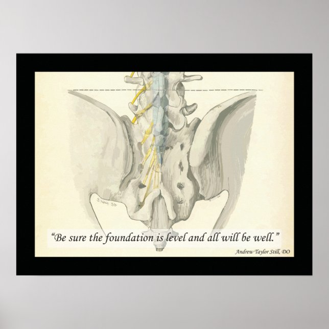 Osteopathic Foundation Quote by A.T. Still Poster (Front)
