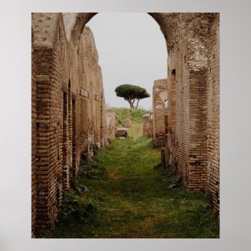 Ostia Antica Lazio Italy Ruins Near Tree Poster