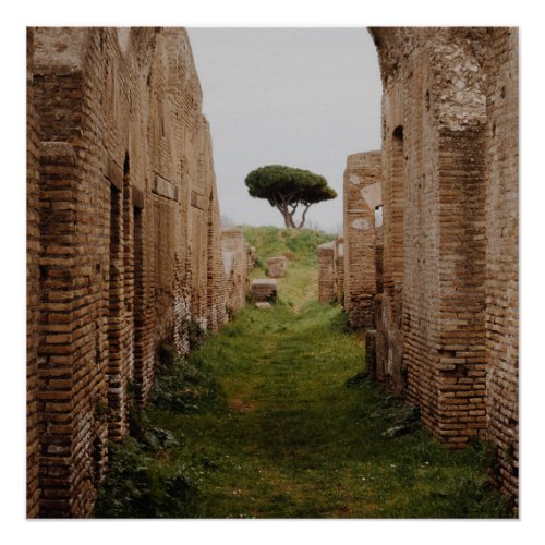 Ostia Antica Lazio Italy Ruins Near Tree Poster