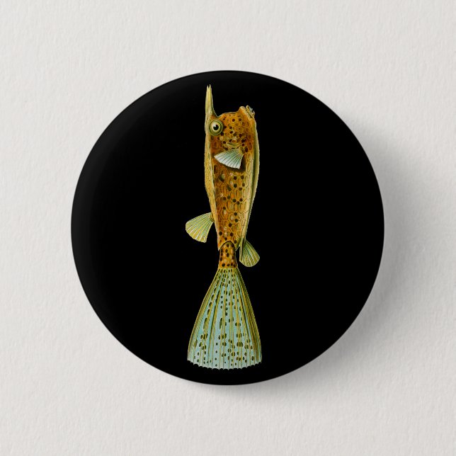 Ostracion cornutus (Boxfish), Haeckel Fine Art Pinback Button (Front)