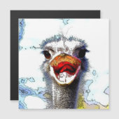 Ostrich20150701 (Front/Back)