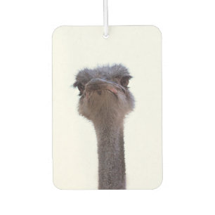ostrich air freshener