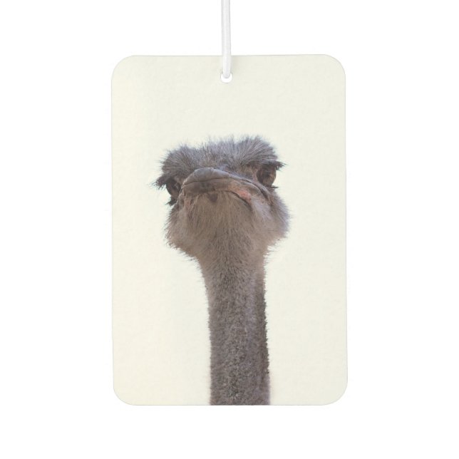ostrich air freshener (Front)