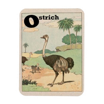 Ostrich Alphabet Magnet by kidslife at Zazzle