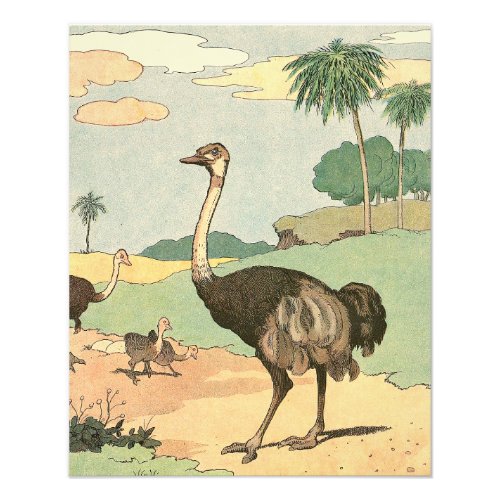 Ostrich and Chicks Illustrated Photo Print