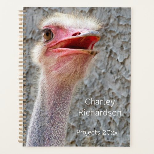 Ostrich animal bird close_up personalizable planner