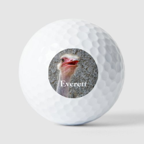 Ostrich animal bird wildlife personalizable golf balls