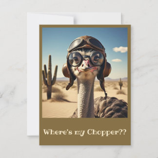 " OSTRICH AVIATOR " POSTCARD