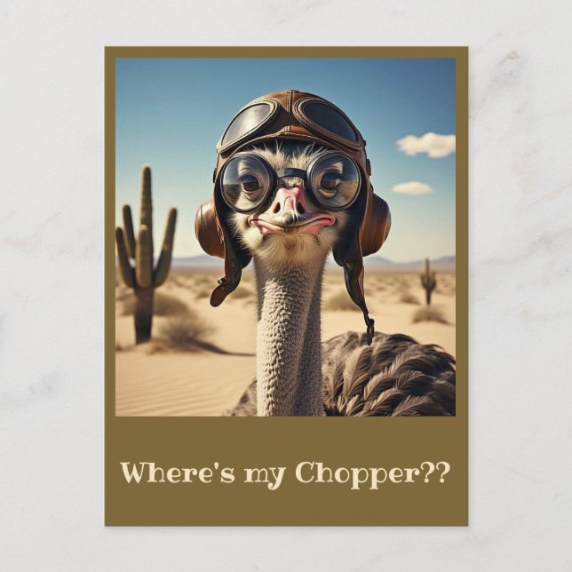 " OSTRICH AVIATOR " POSTCARD (Front)