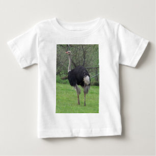 Ostrich Baby T-Shirt