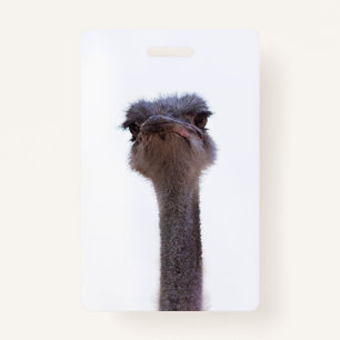 ostrich badge