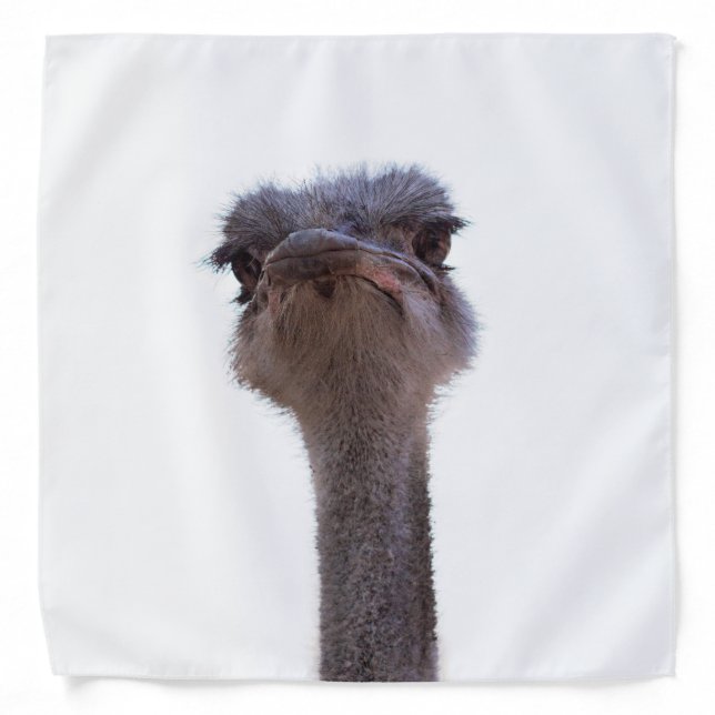 ostrich bandana (Front)