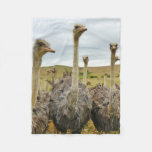 Ostrich Bird Fleece Blanket at Zazzle
