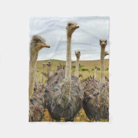 Ostrich Bird Fleece Blanket
