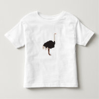 Ostrich Bird Illustration 