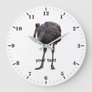 Ostrich bird in natural habitat 