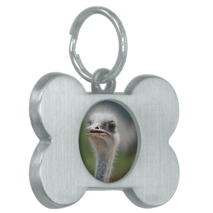 Ostrich Bird Pet ID Tag