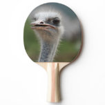 Ostrich Bird Ping-Pong Paddle
