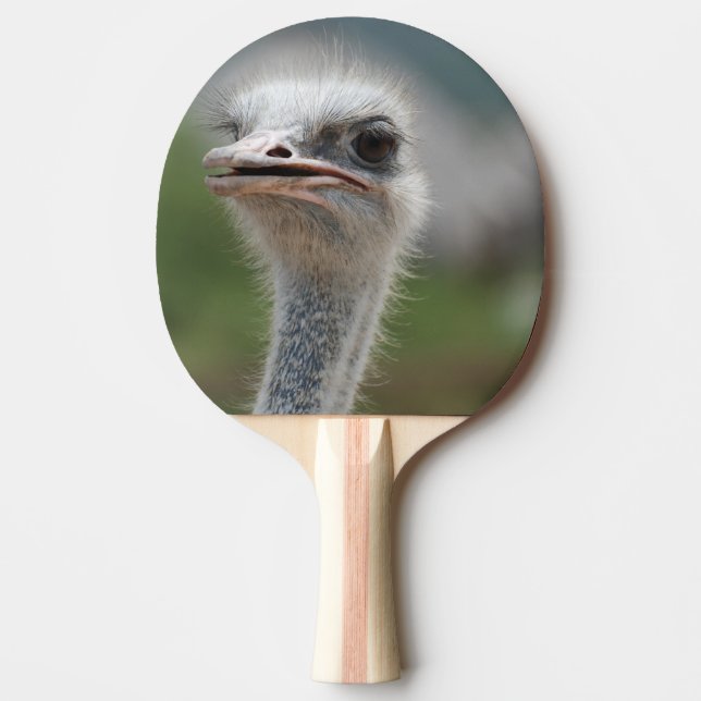 Ostrich Bird Ping-Pong Paddle (Front)