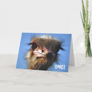 Ostrich Birthday Card by malibuitalian at Zazzle