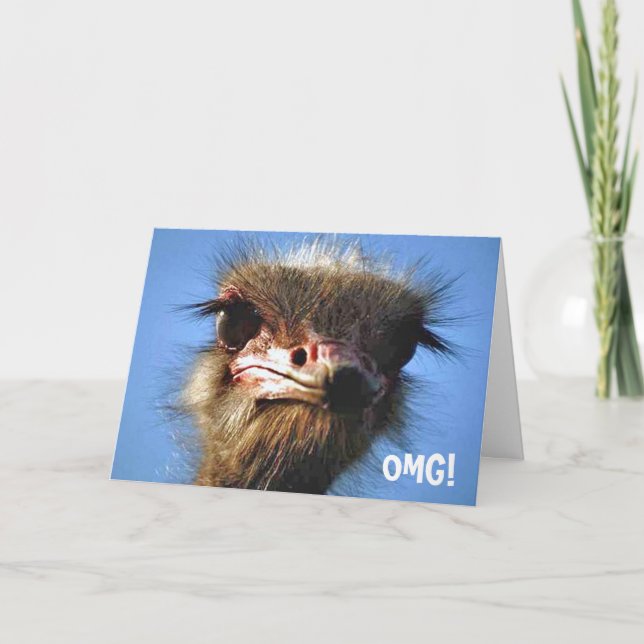 Ostrich Birthday Card (Front)