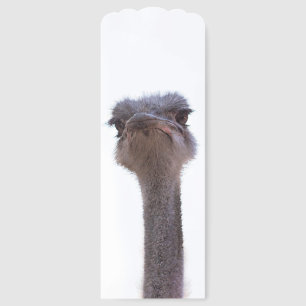 ostrich bookmarks