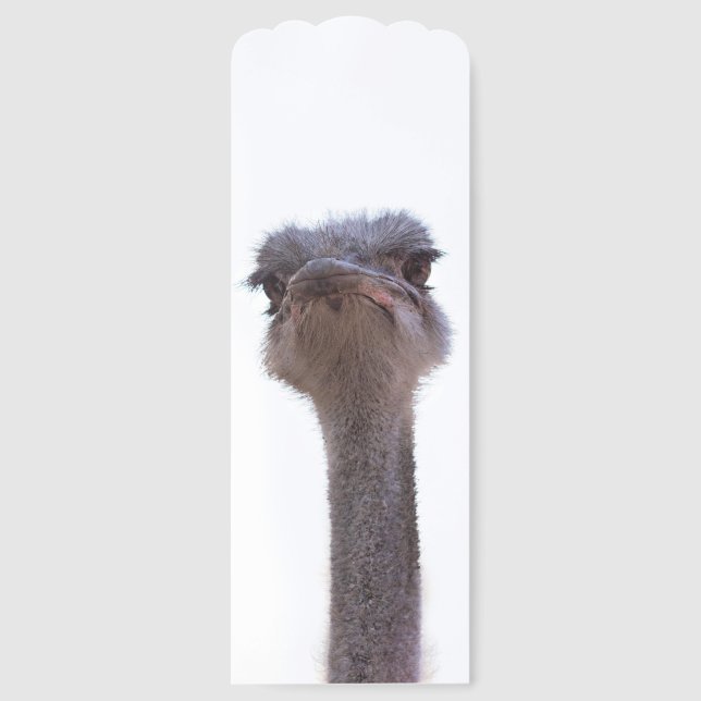 ostrich bookmarks (Front)
