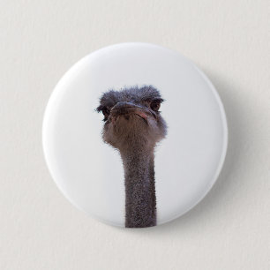 ostrich button
