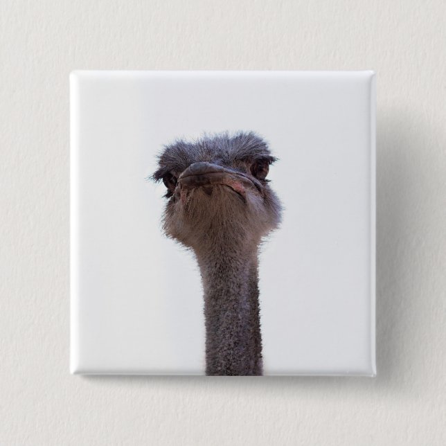 ostrich button (Front)