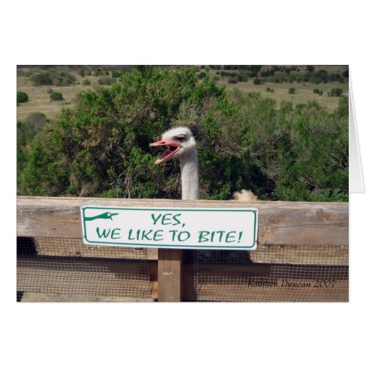 Ostrich Cards (Front Horizontal)