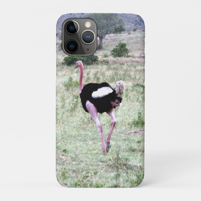 ostrich Case-Mate iPhone case (Back)