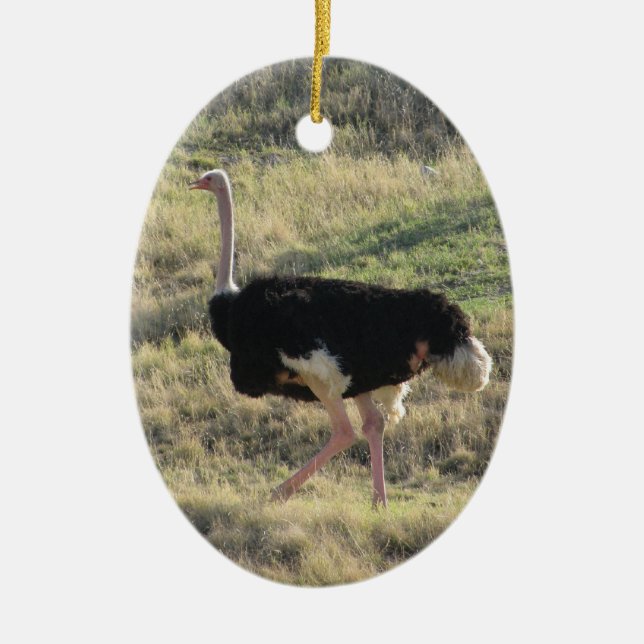 Ostrich Ceramic Ornament (Front)