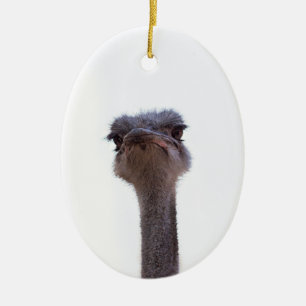 ostrich ceramic ornament