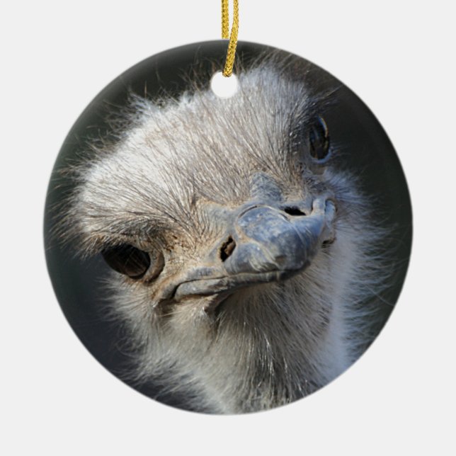 Ostrich Ceramic Ornament (Front)